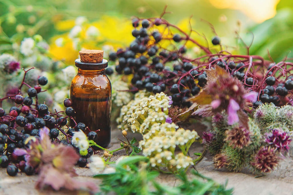 Botanical Extracts: Flower & Herbal Extract Bottle - ICG Flavours