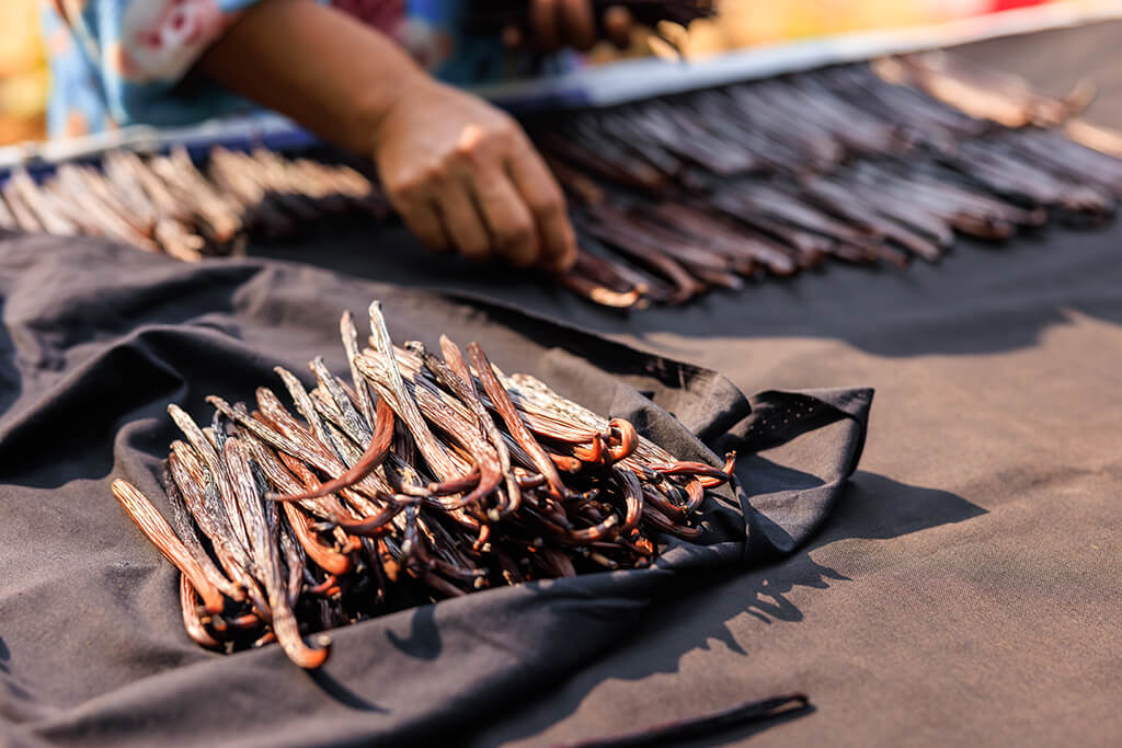 Vanilla Pod Drying Process - ICG Flavours
